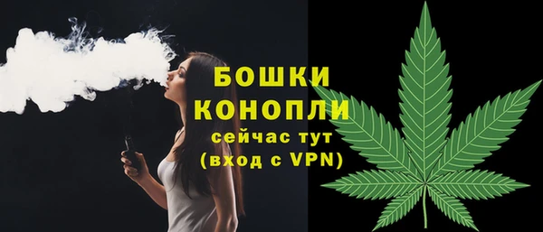 молекула духа Заволжск